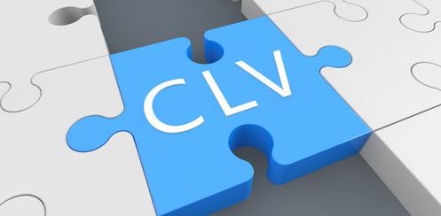 customer lifetime value